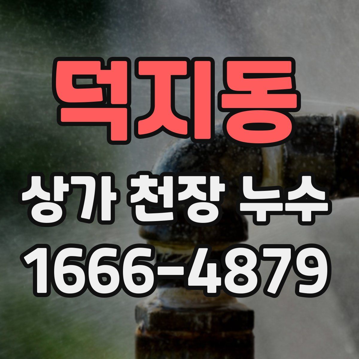 덕지동 상가 천장 누수