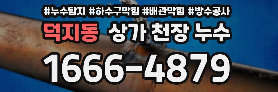덕지동 상가 천장 누수