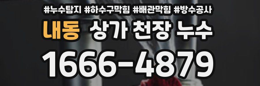 내동 상가 천장 누수