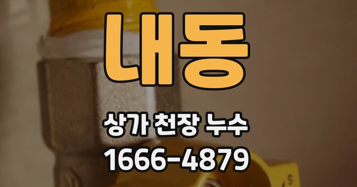 내동 상가 천장 누수