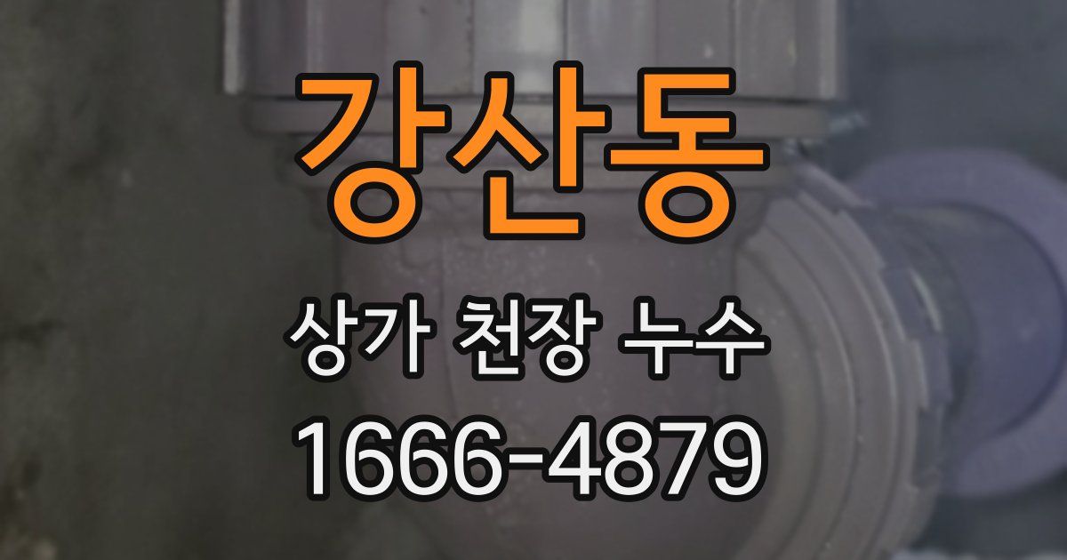 강산동 상가 천장 누수