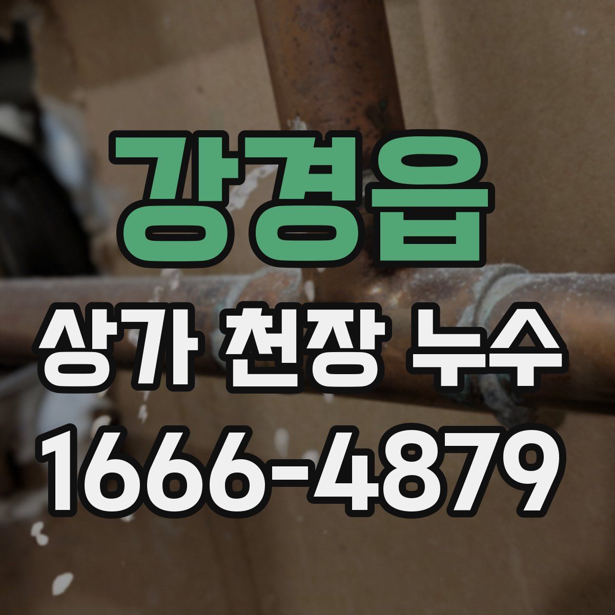 강경읍 상가 천장 누수