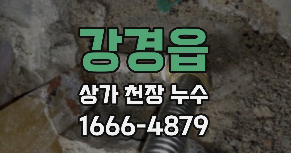 강경읍 상가 천장 누수