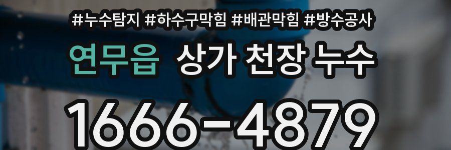 연무읍 상가 천장 누수