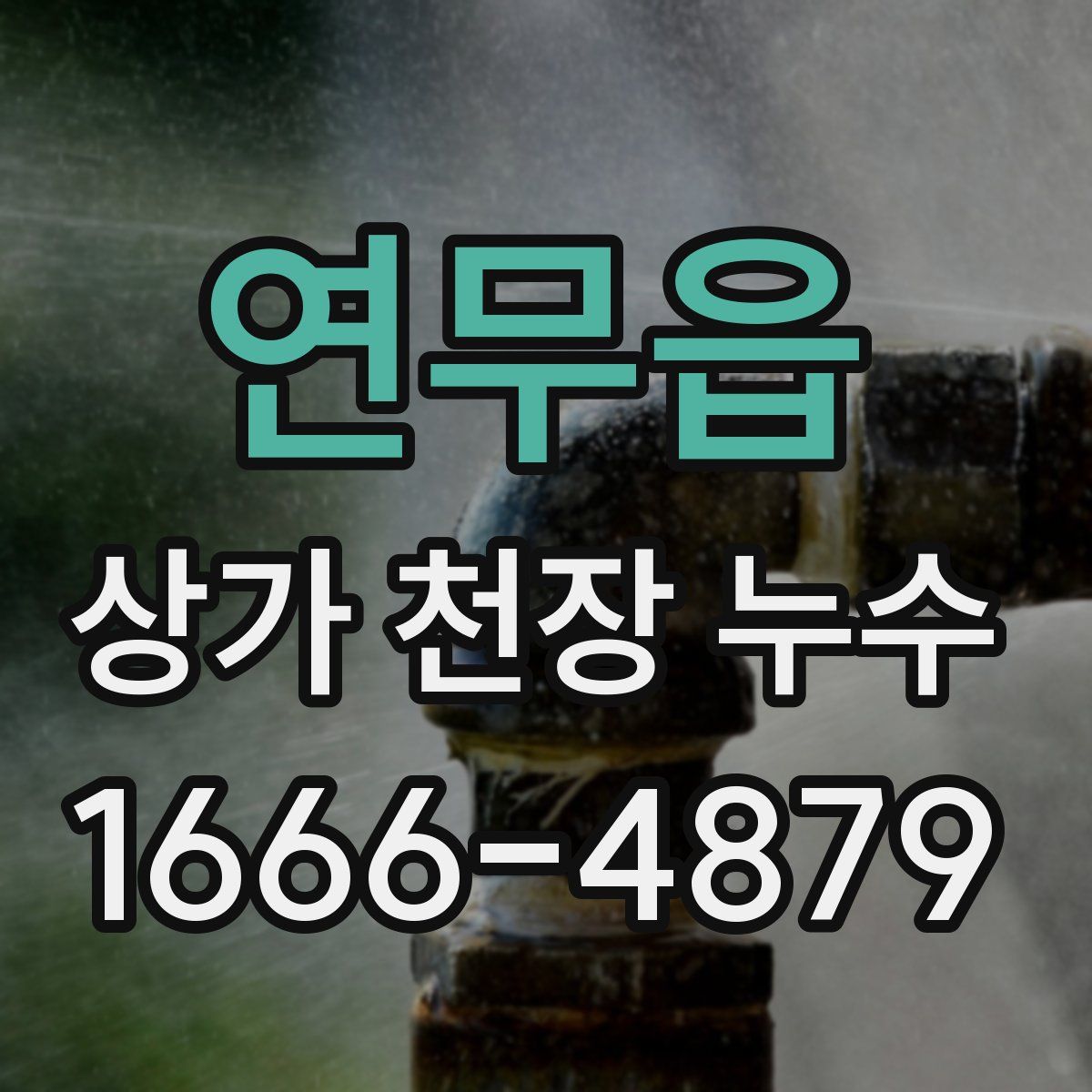 연무읍 상가 천장 누수