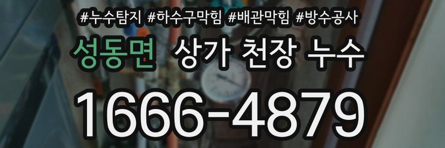 성동면 상가 천장 누수