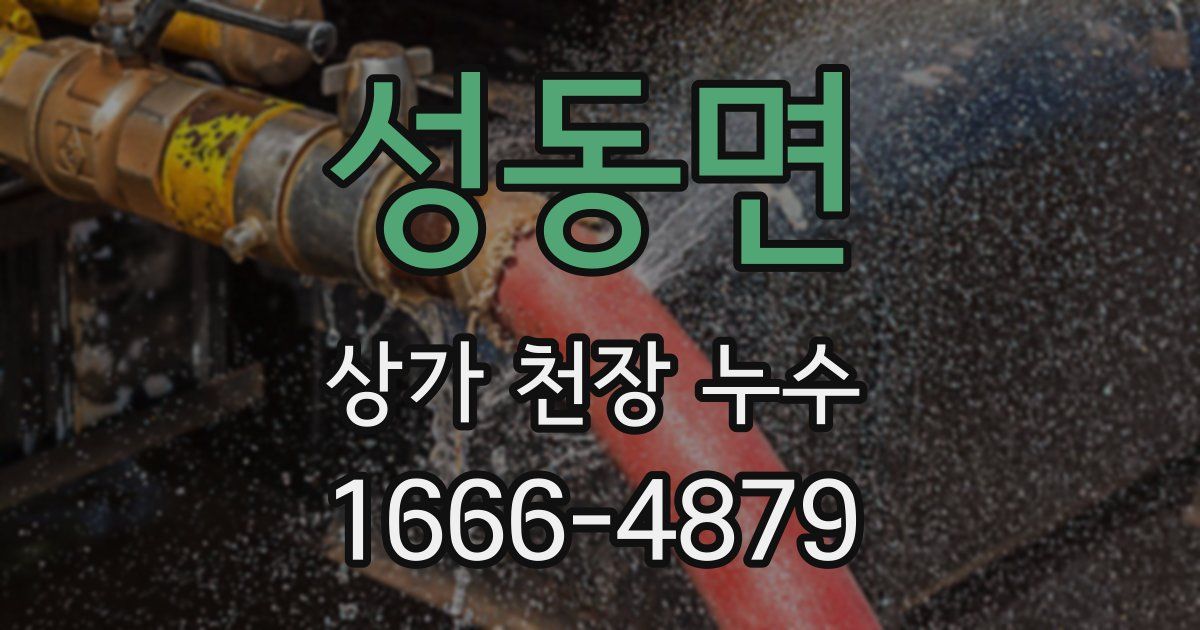 성동면 상가 천장 누수