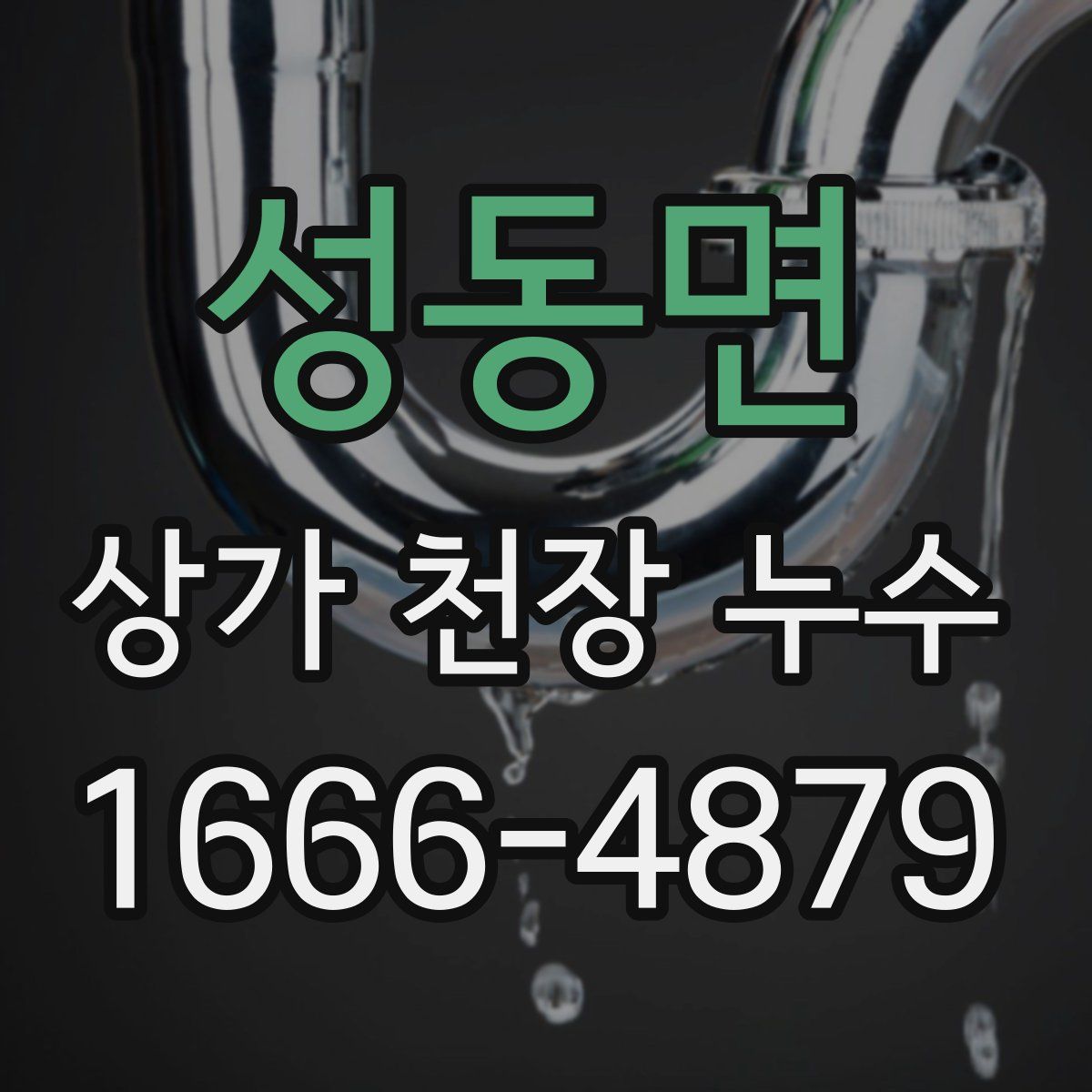 성동면 상가 천장 누수