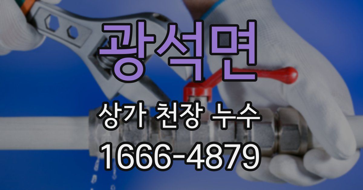 광석면 상가 천장 누수