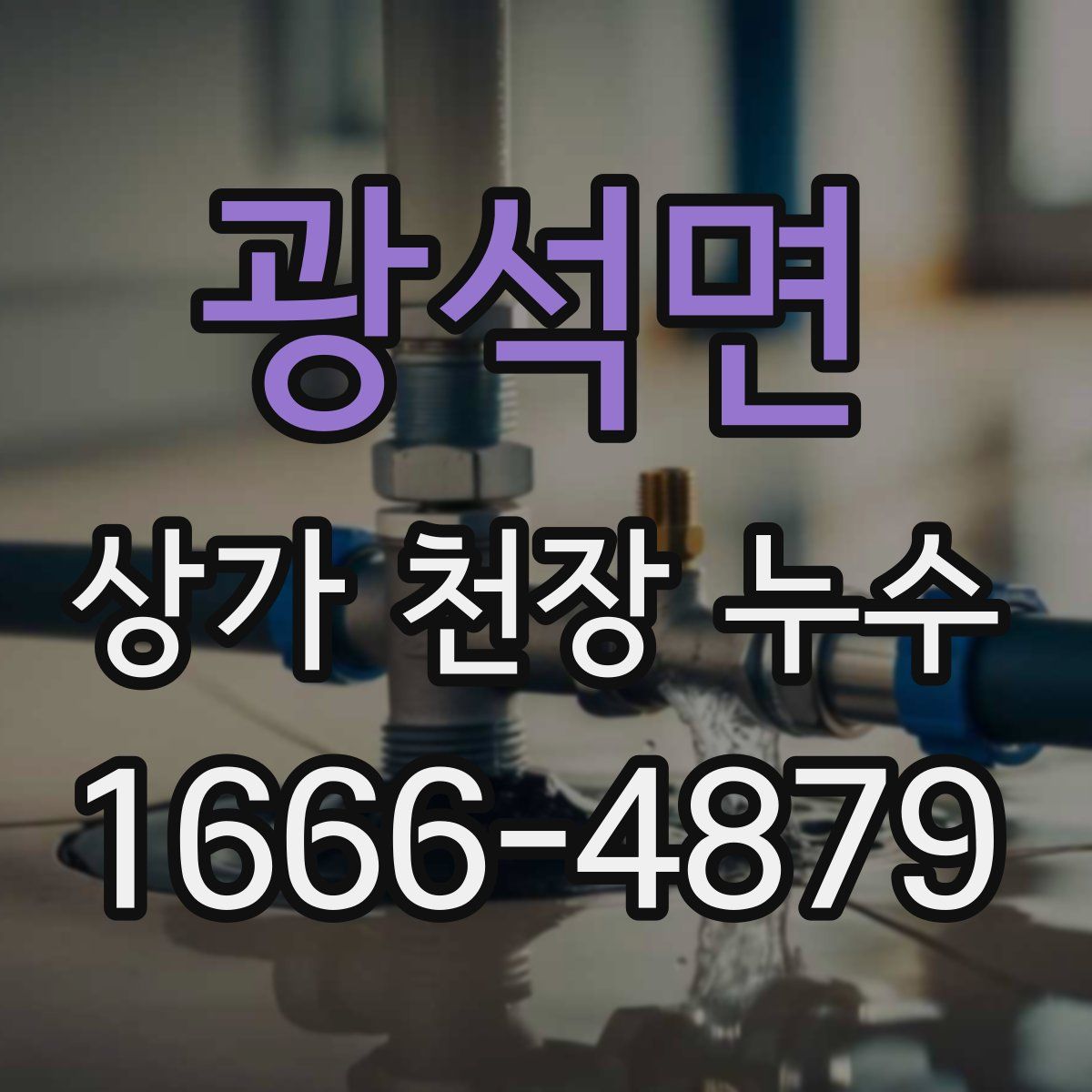 광석면 상가 천장 누수