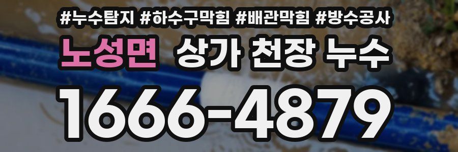 노성면 상가 천장 누수