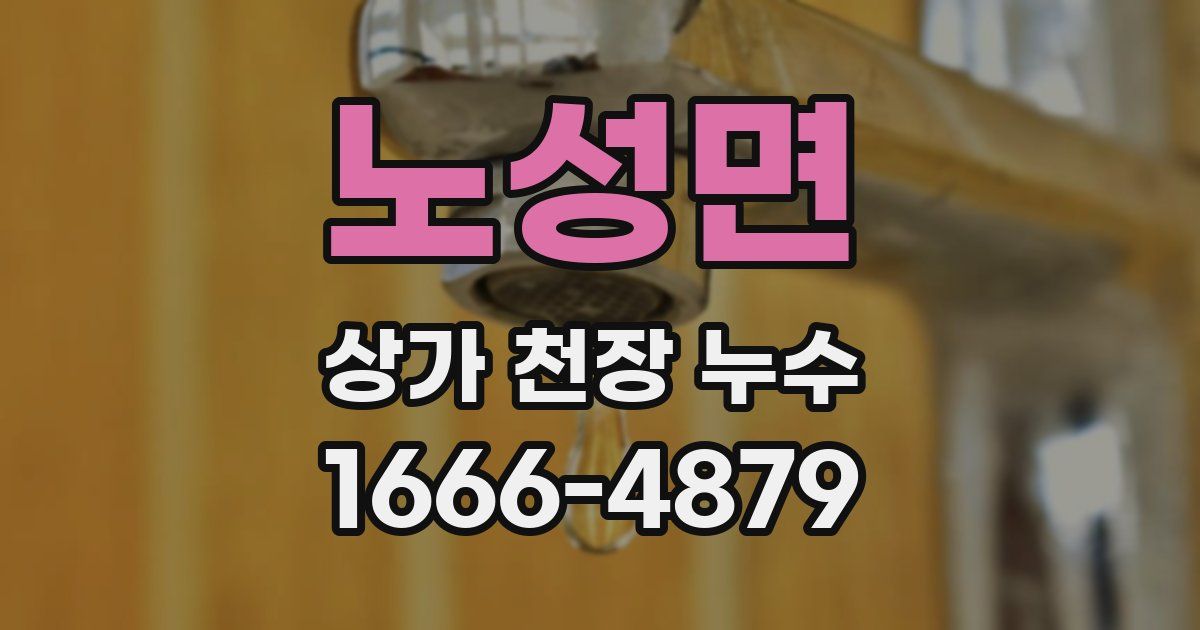 노성면 상가 천장 누수