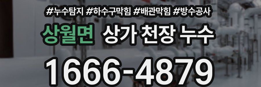 상월면 상가 천장 누수