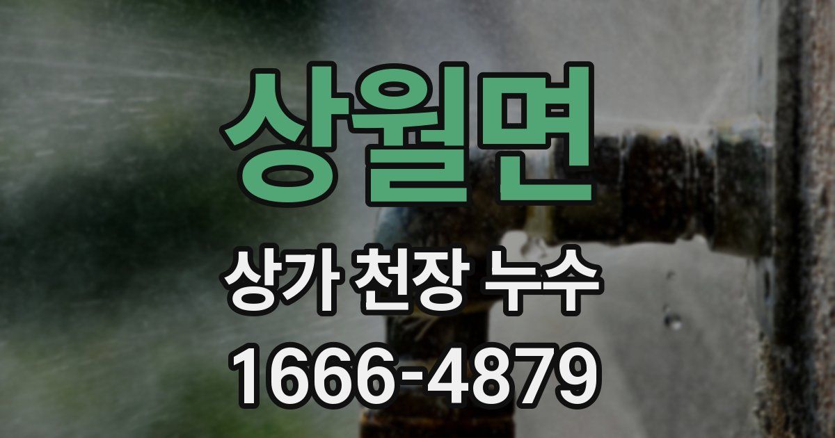 상월면 상가 천장 누수