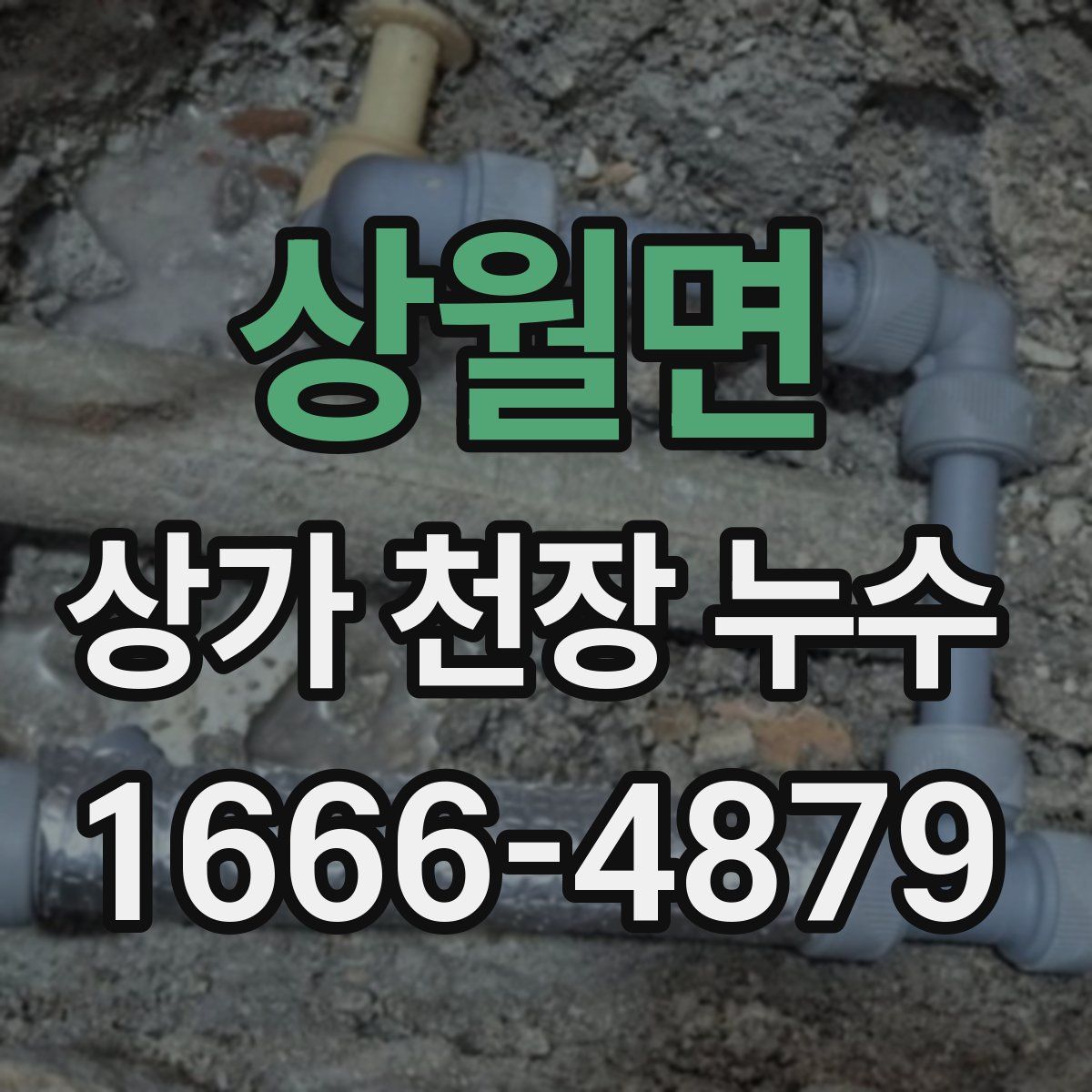 상월면 상가 천장 누수
