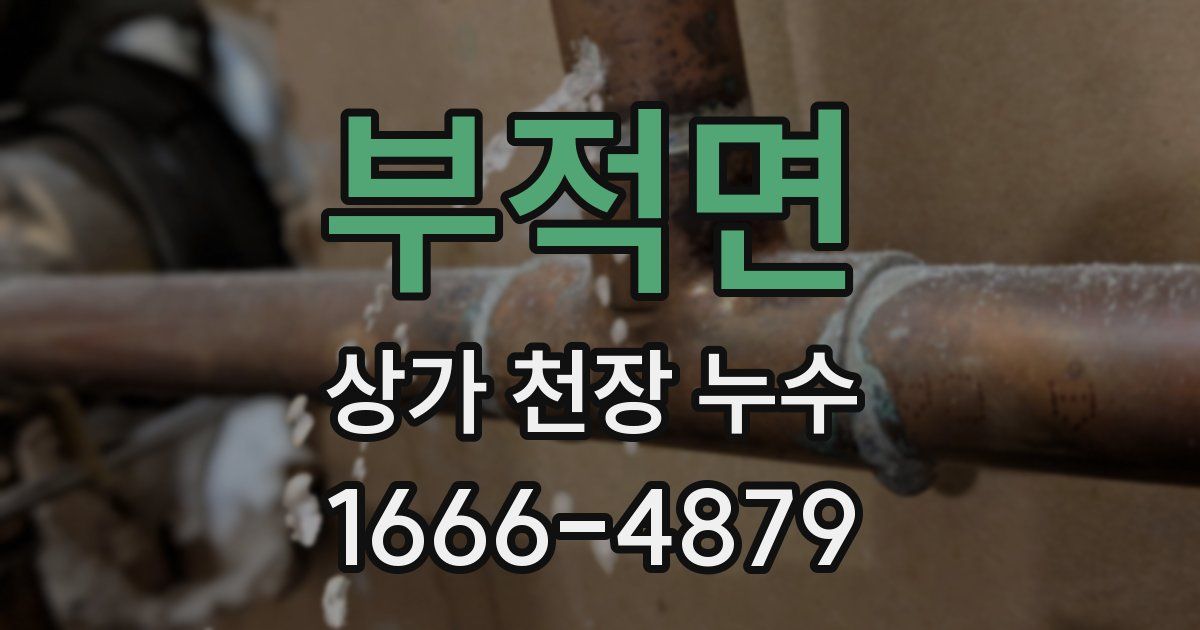 부적면 상가 천장 누수