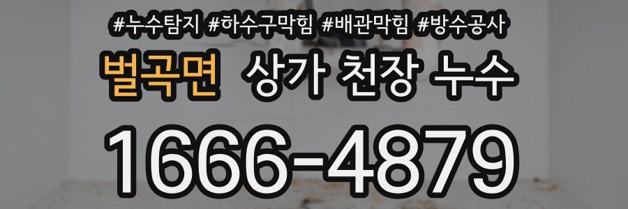 벌곡면 상가 천장 누수