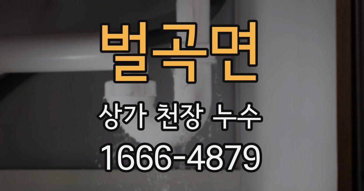 벌곡면 상가 천장 누수
