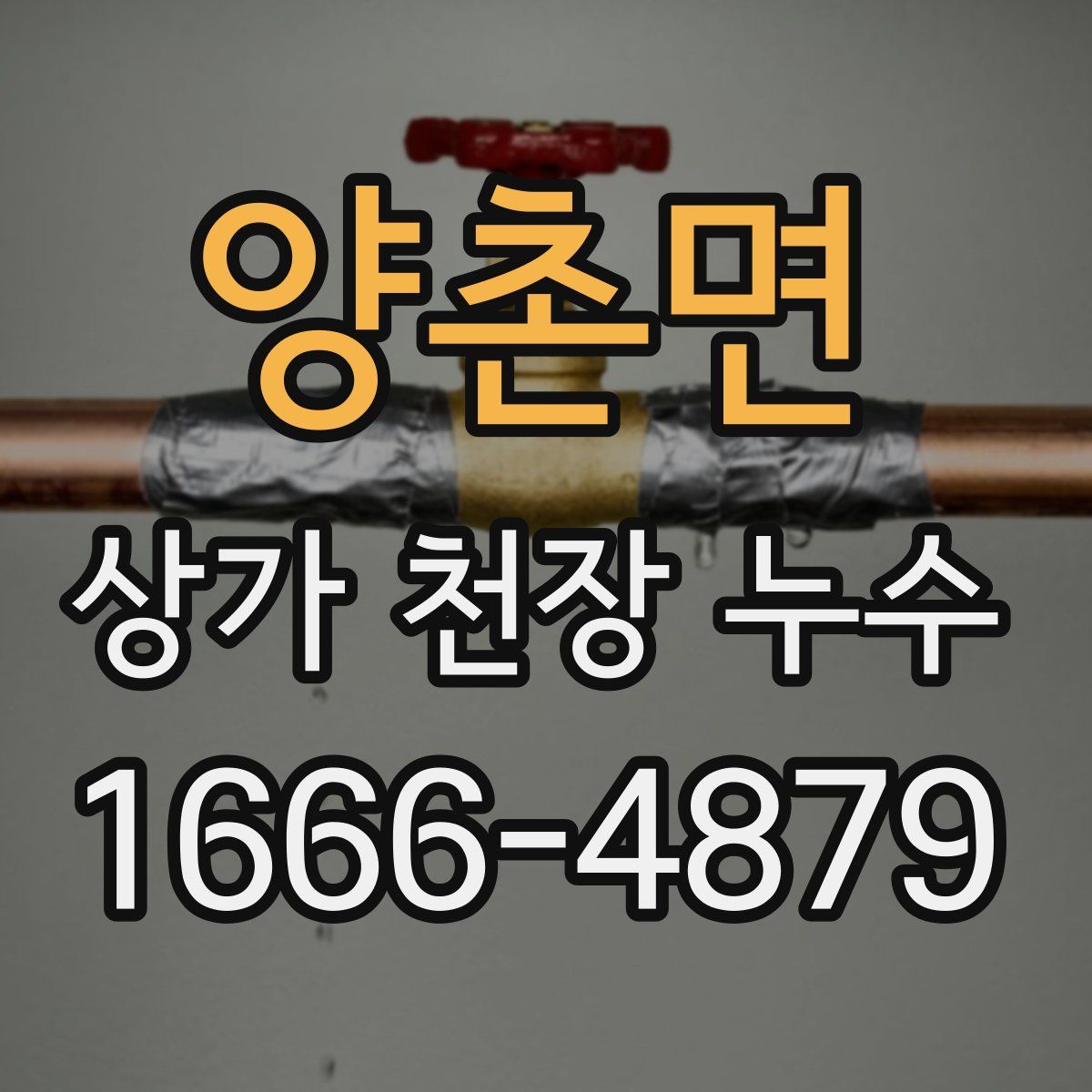 양촌면 상가 천장 누수
