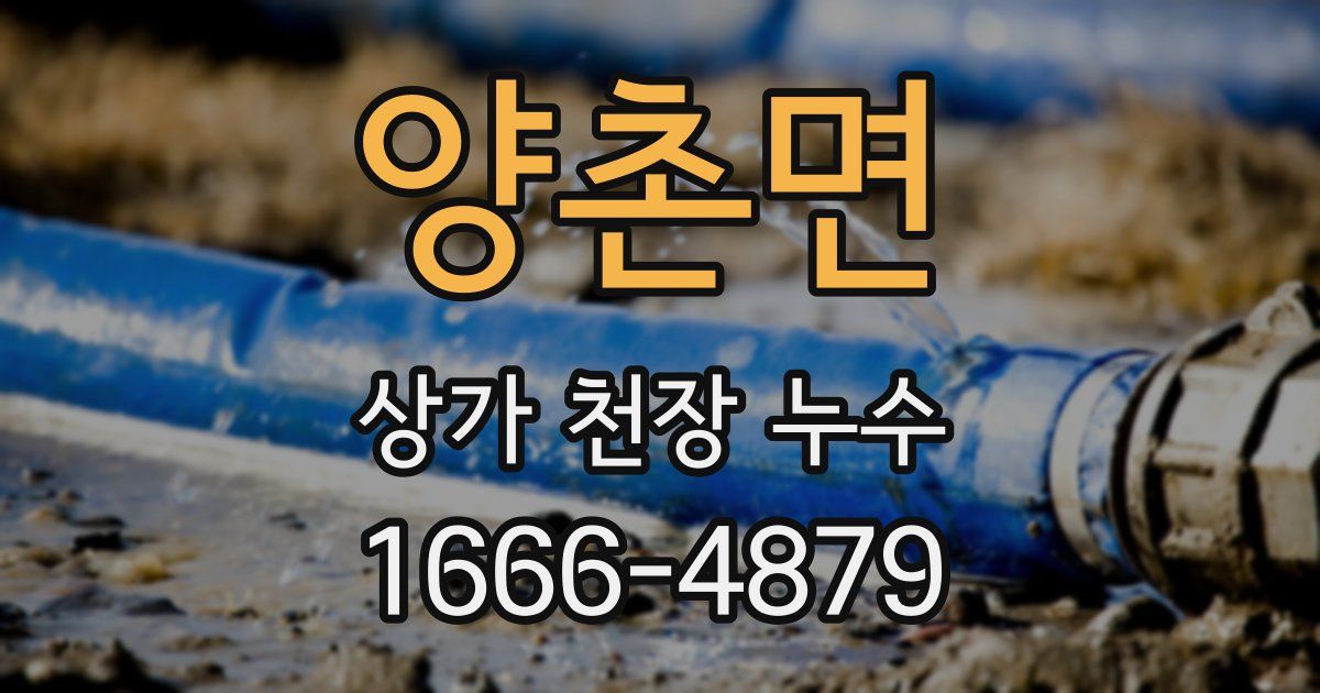 양촌면 상가 천장 누수