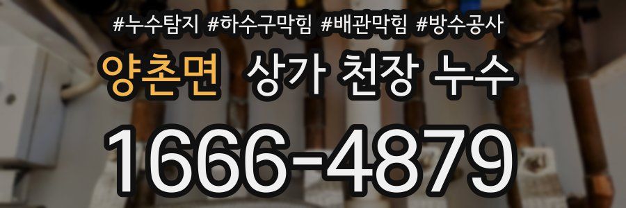 양촌면 상가 천장 누수