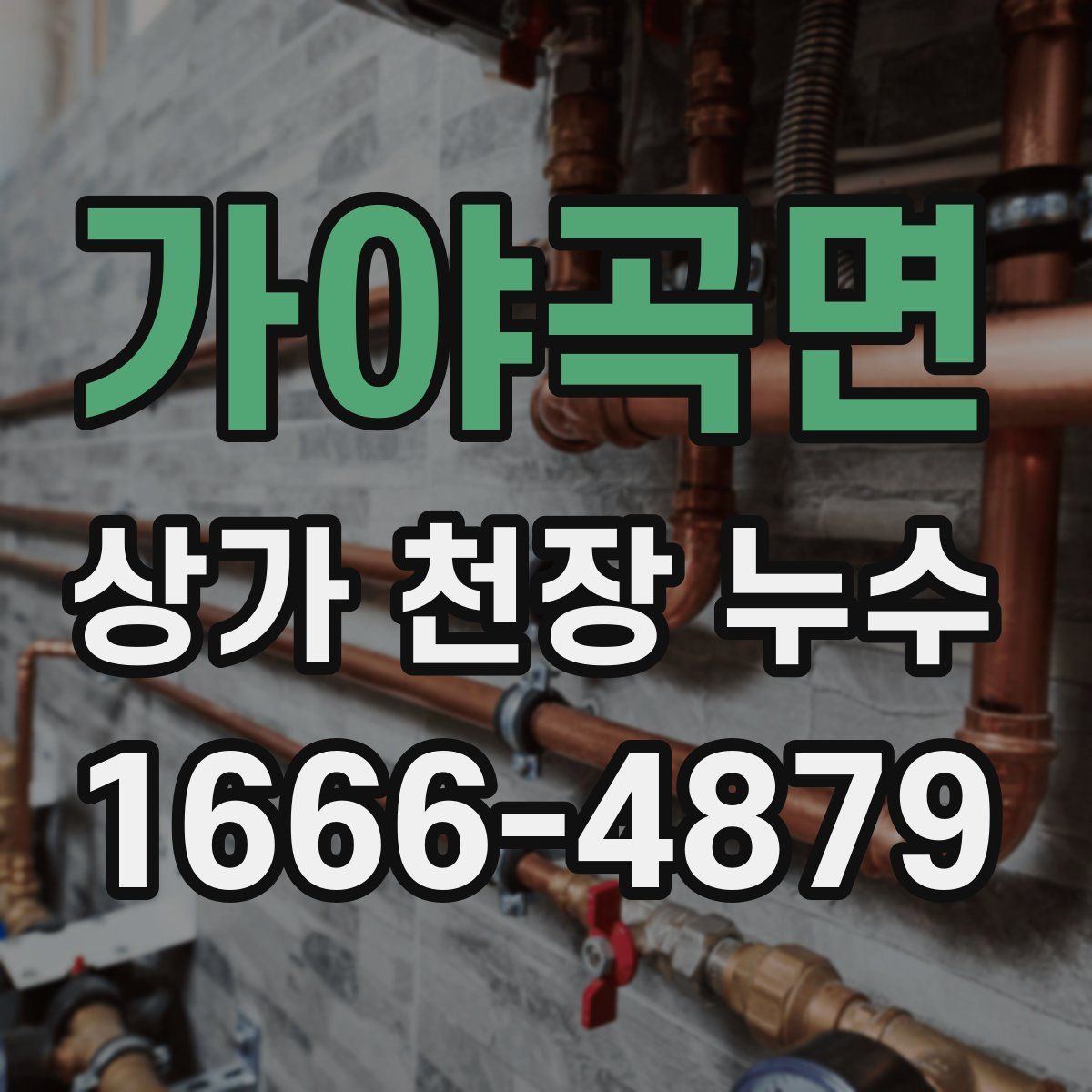 가야곡면 상가 천장 누수