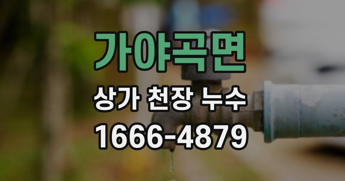 가야곡면 상가 천장 누수