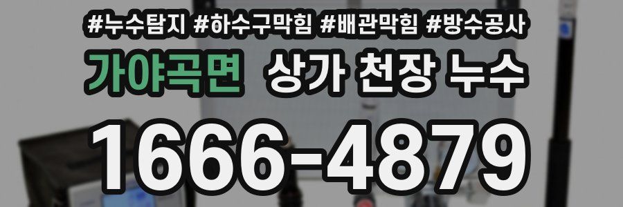 가야곡면 상가 천장 누수