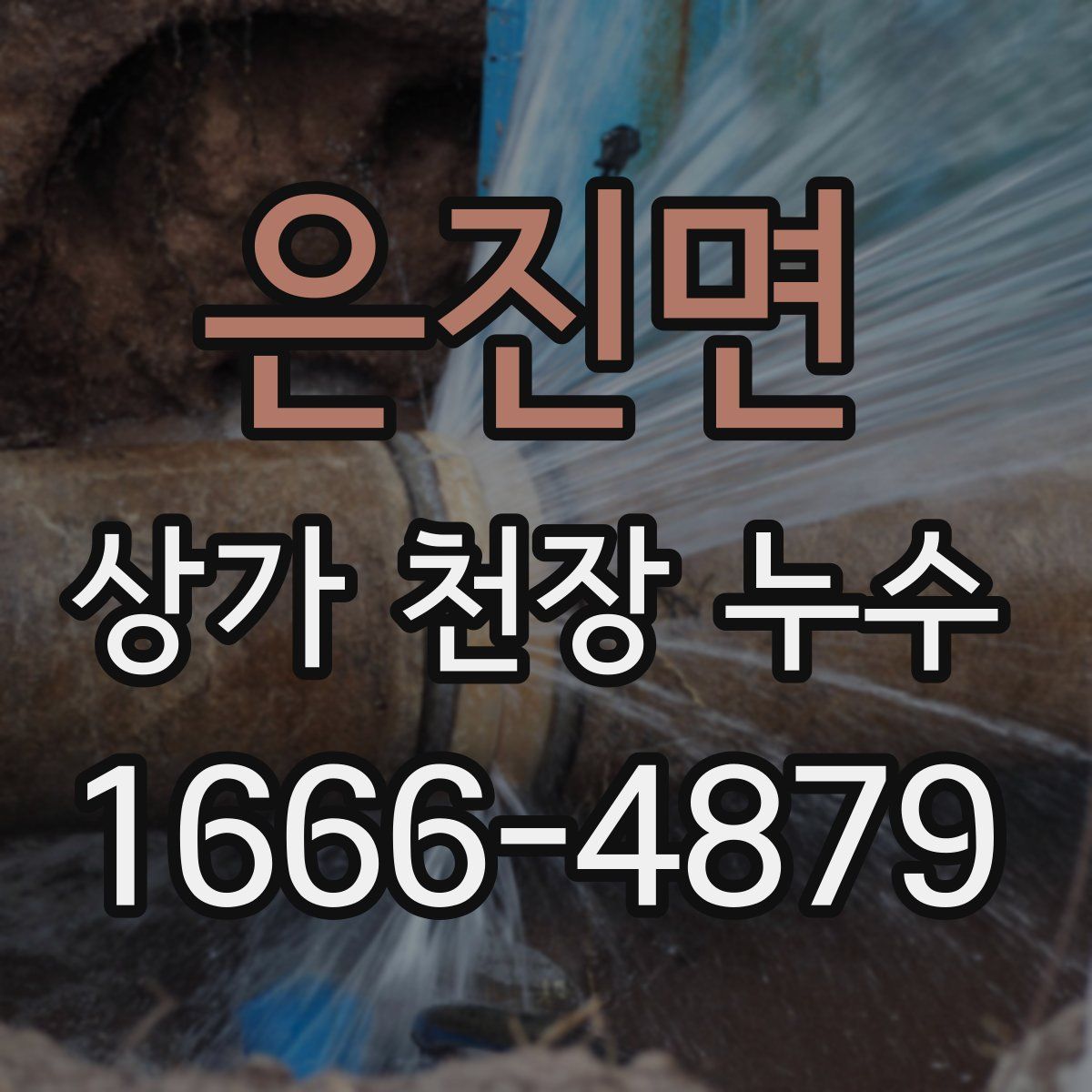 은진면 상가 천장 누수