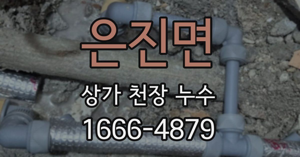 은진면 상가 천장 누수