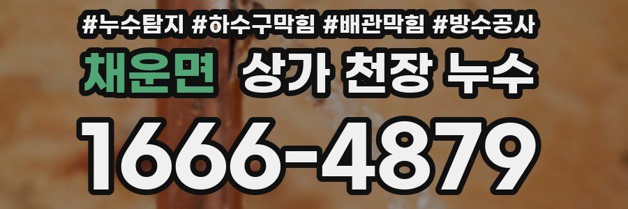 채운면 상가 천장 누수