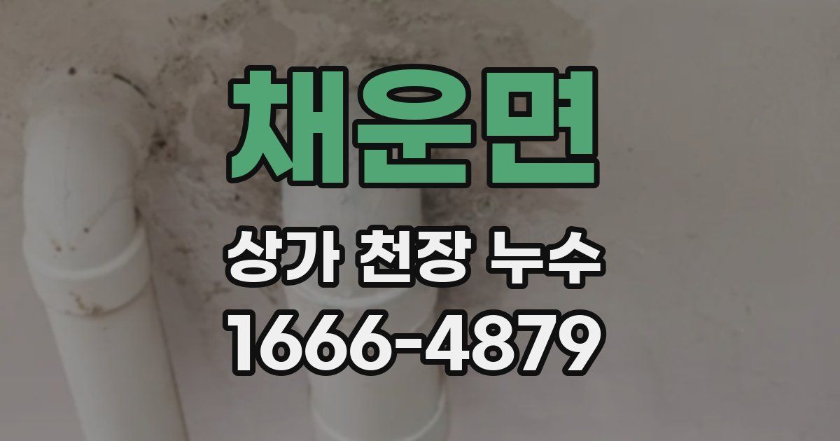 채운면 상가 천장 누수