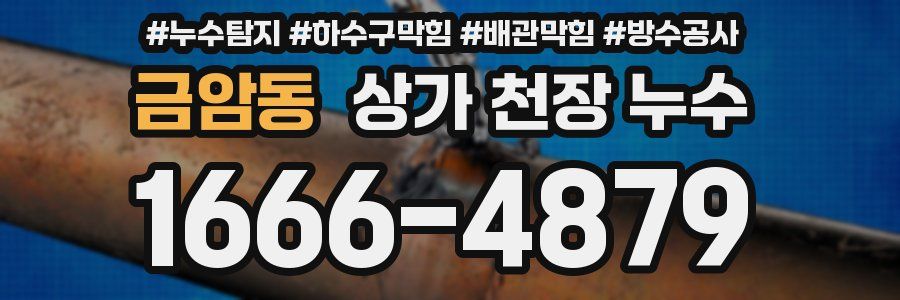금암동 상가 천장 누수