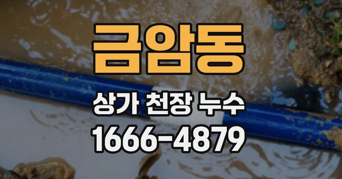 금암동 상가 천장 누수