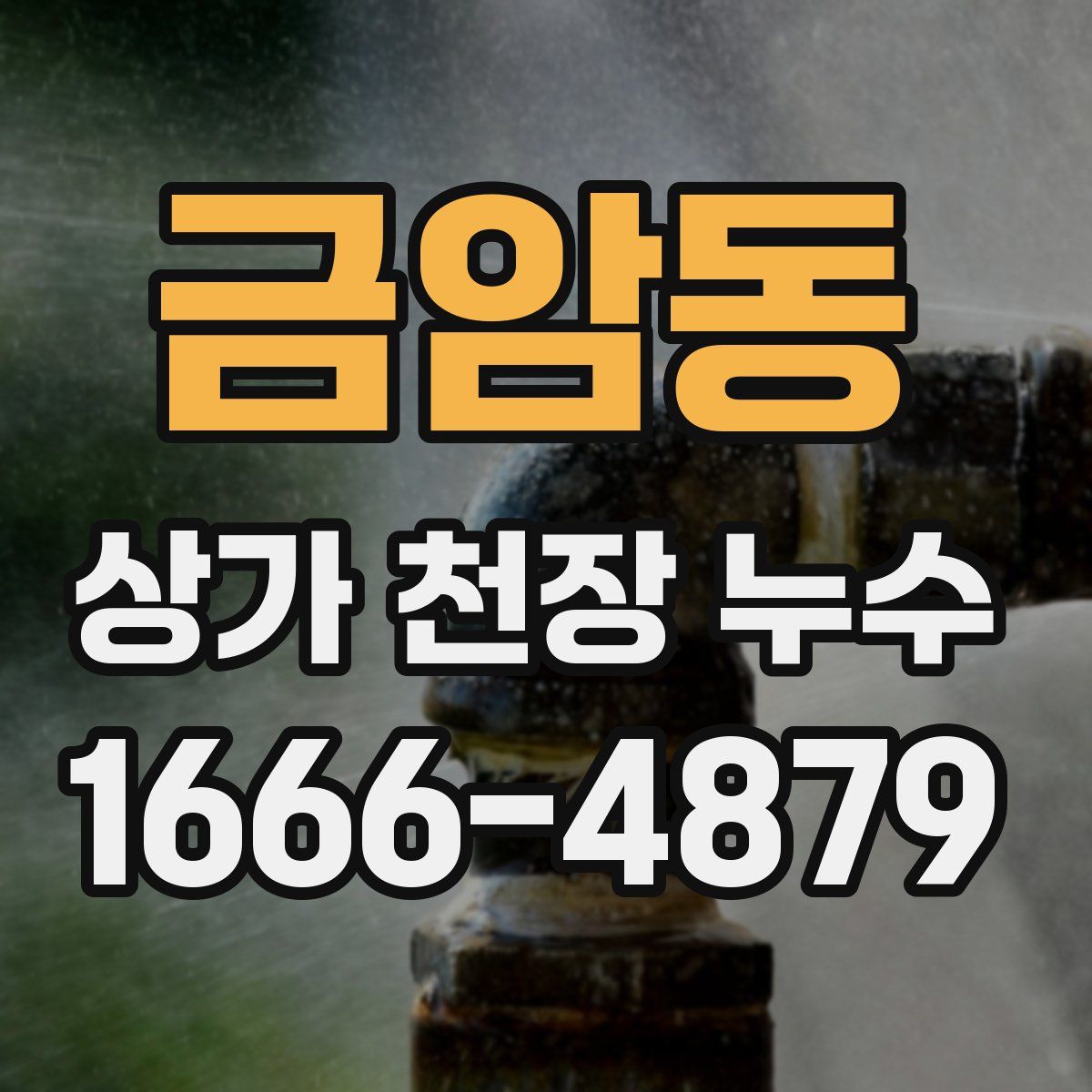 금암동 상가 천장 누수
