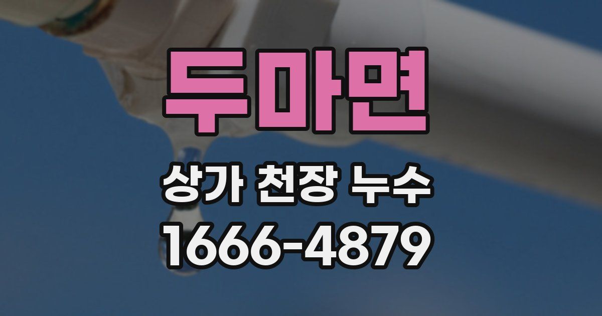 두마면 상가 천장 누수