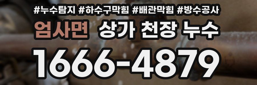 엄사면 상가 천장 누수