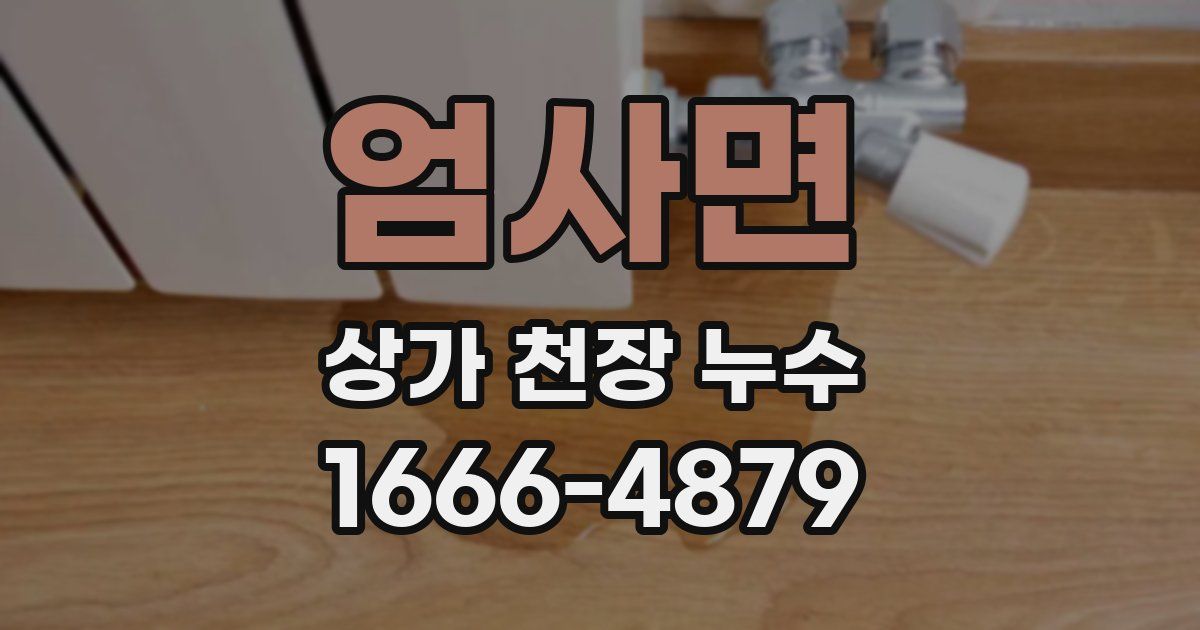 엄사면 상가 천장 누수