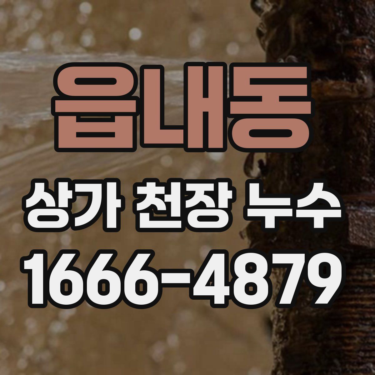 읍내동 상가 천장 누수