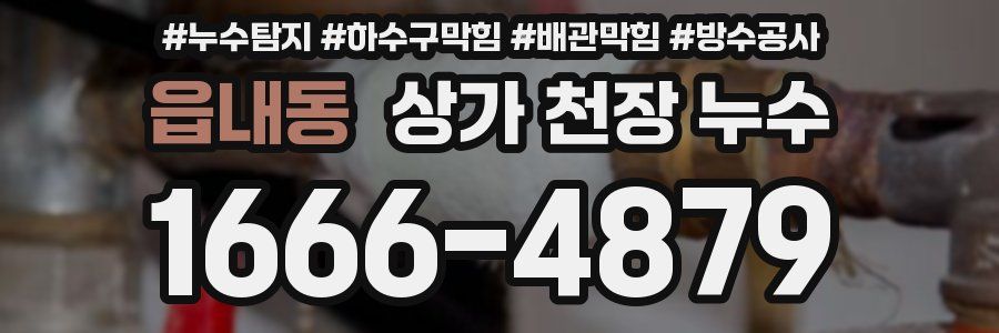 읍내동 상가 천장 누수