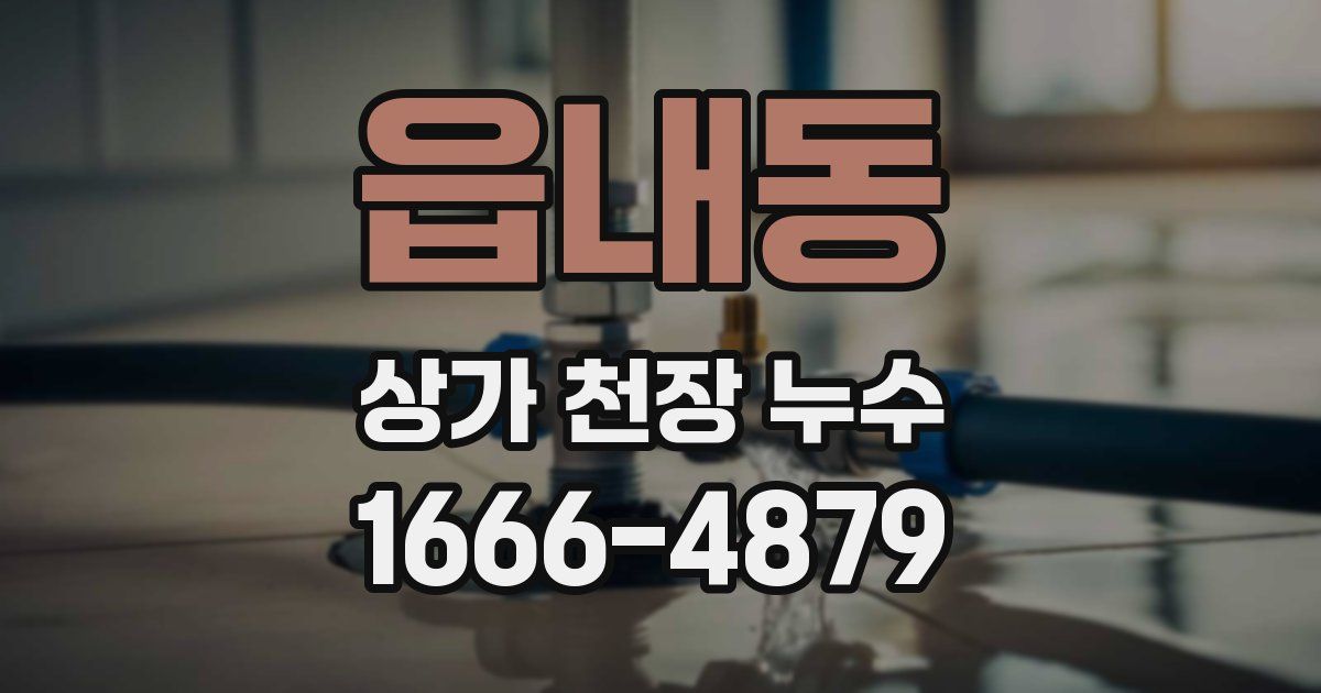 읍내동 상가 천장 누수