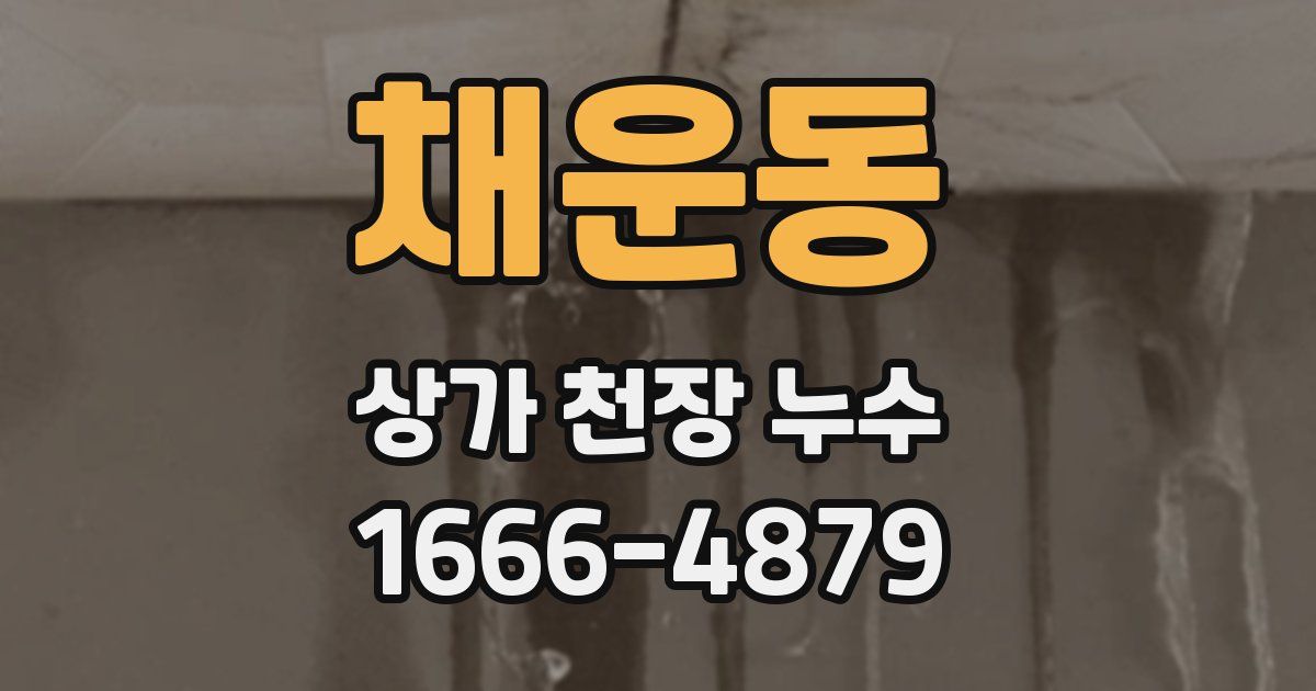채운동 상가 천장 누수