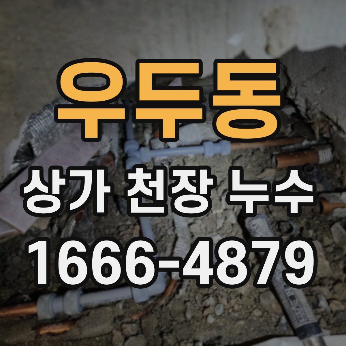 우두동 상가 천장 누수