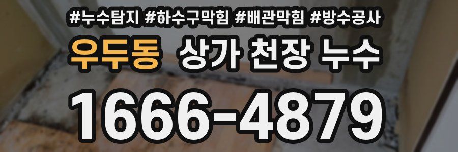 우두동 상가 천장 누수