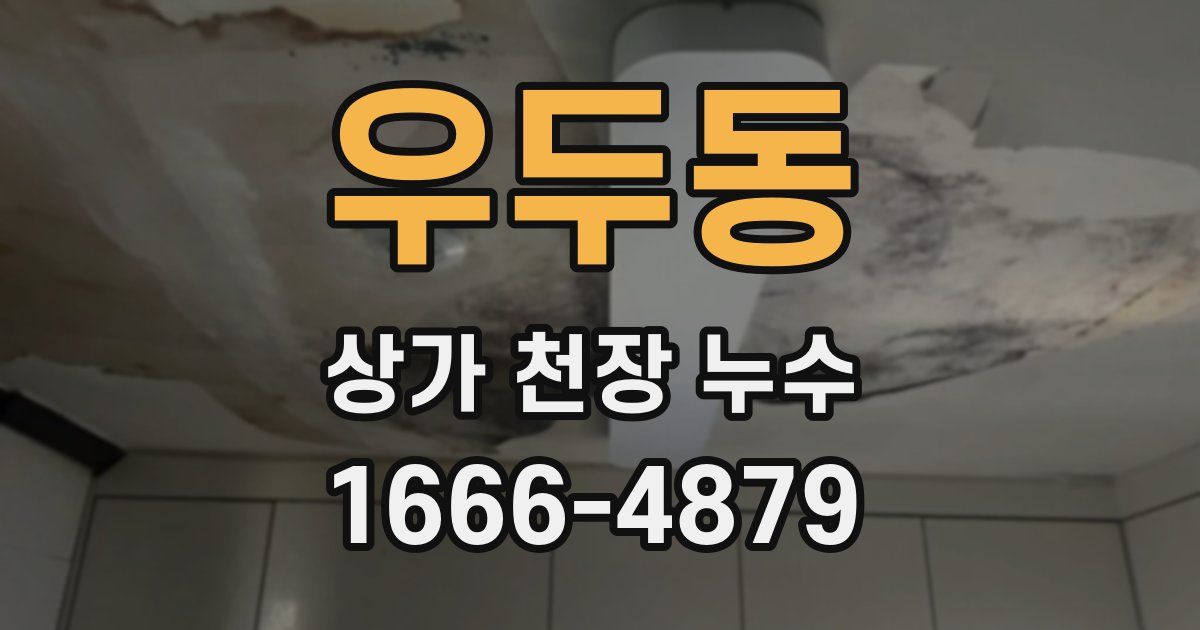 우두동 상가 천장 누수