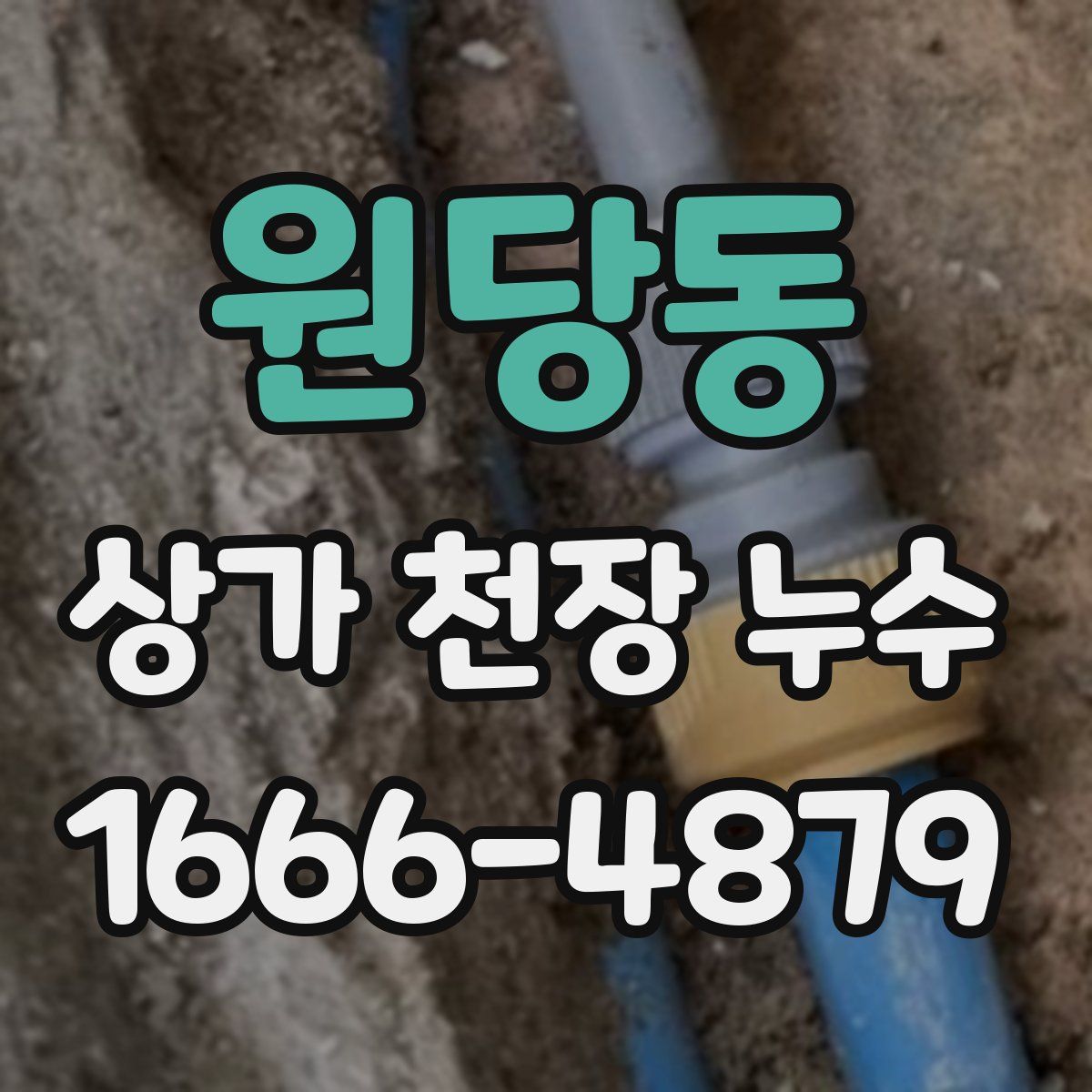원당동 상가 천장 누수