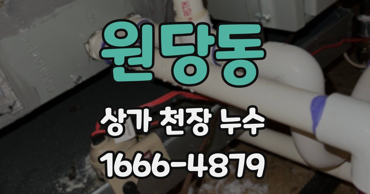 원당동 상가 천장 누수
