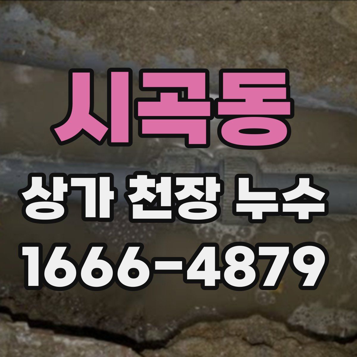 시곡동 상가 천장 누수