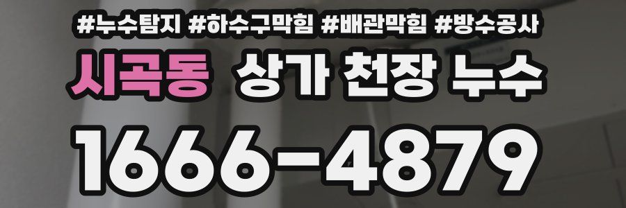 시곡동 상가 천장 누수
