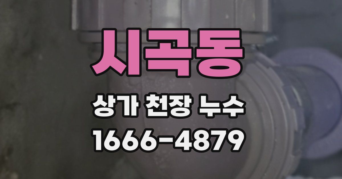 시곡동 상가 천장 누수